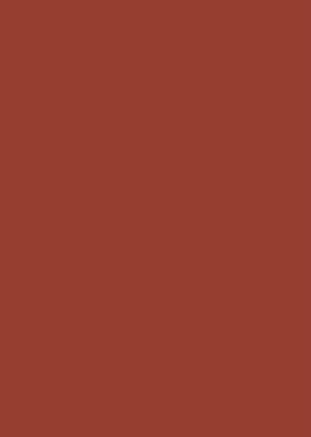 Папір для дизайну Tintedpaper В2 (50*70см), №74 червоно-коричневий, 130г/м, без текстури, Folia 4823064981711 фото