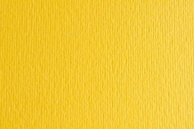 Папір для дизайну Elle Erre B1 (70*100см), №25 cedro, 220г/м2, жовтий, дві текстури, Fabriano 8001348122364 фото