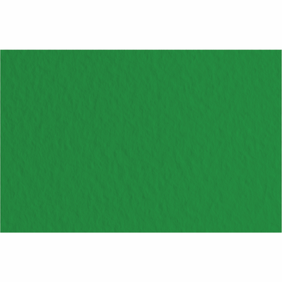 Папір для пастелі Tiziano B2 (50*70см), №37 biliardo, 160г/м2, зелений, середнє зерно, Fabriano 8001348157618 фото