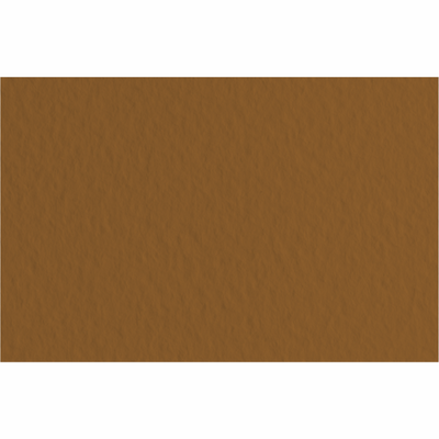 Папір для пастелі Tiziano B2 (50*70см), №09 caffe, 160г/м2, коричневий, середнє зерно, Fabriano 8001348157663 фото
