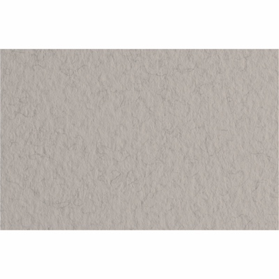 Папір для пастелі Tiziano B2 (50*70см), №28 china, 160г/м2, сірий, середнє зерно, Fabriano 8001348157557 фото