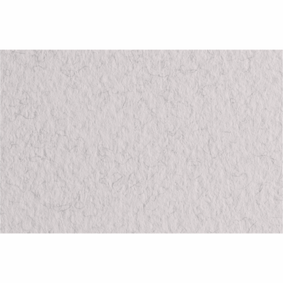 Папір для пастелі Tiziano A4 (21*29,7см), №27 lama,160г/м2,сірий з ворсинками,середнє зерно,Fabriаno 8001348157854 фото